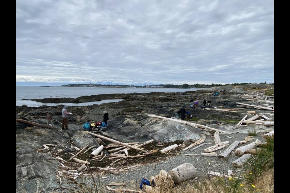 UVic students conducting restoration field coursework in June. VIA ANDREW ELVES