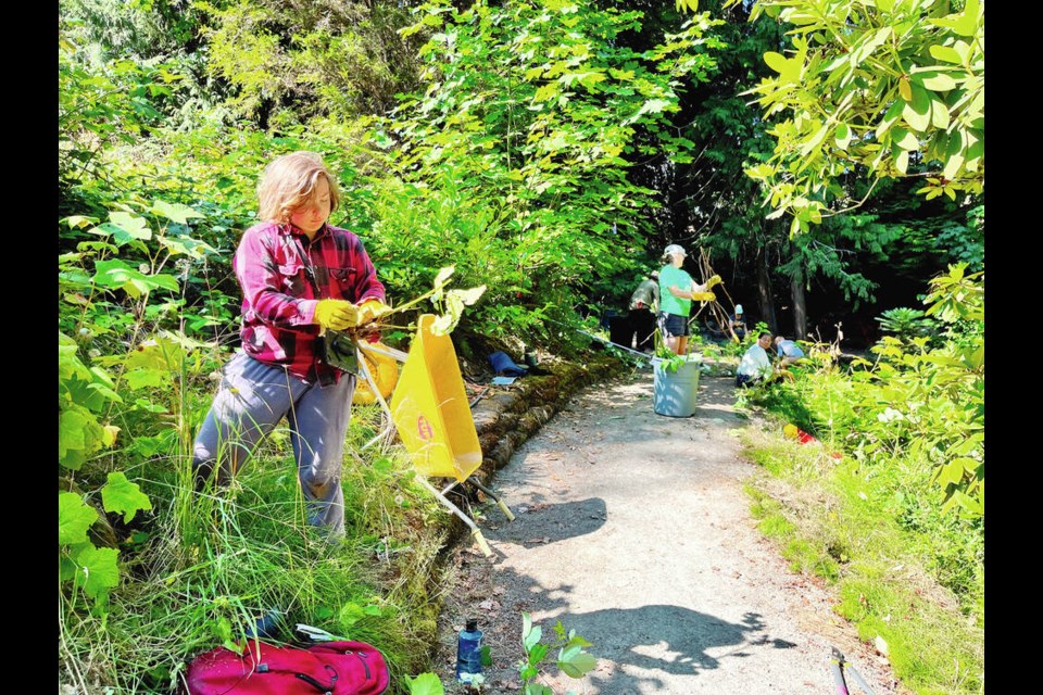 Members of the Greater Victoria Green Team pulled invasive species in Dominion Brook Park in North ­Saanich on July 30. The group will be back in the municipality on Aug. 20, when it tackles Lillian Hoffar Park. GREEN TEAMS OF CANADA 