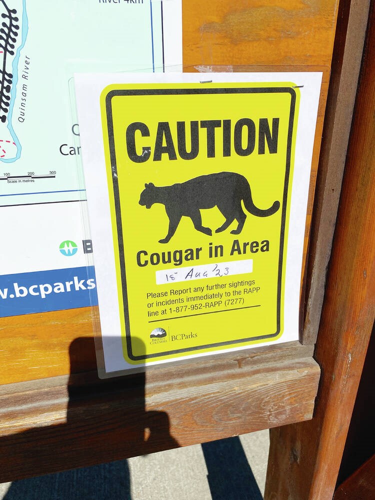 web1_cougar-warning
