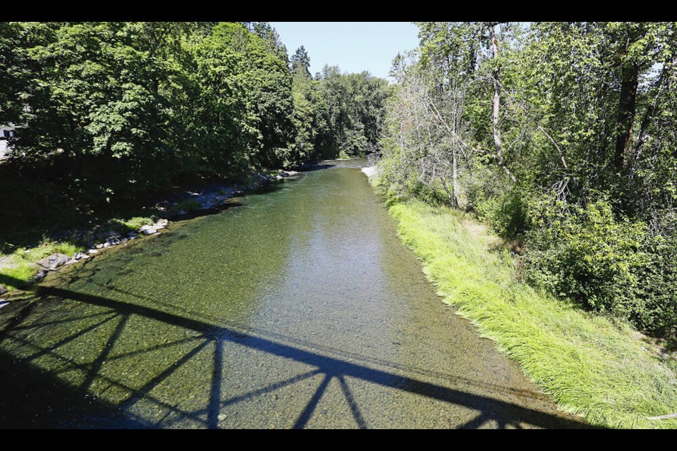 A view of the Cowichan river from the bridge on Allenby Road in Duncan/.   ADRIAN LAM, TIMES COLONIST