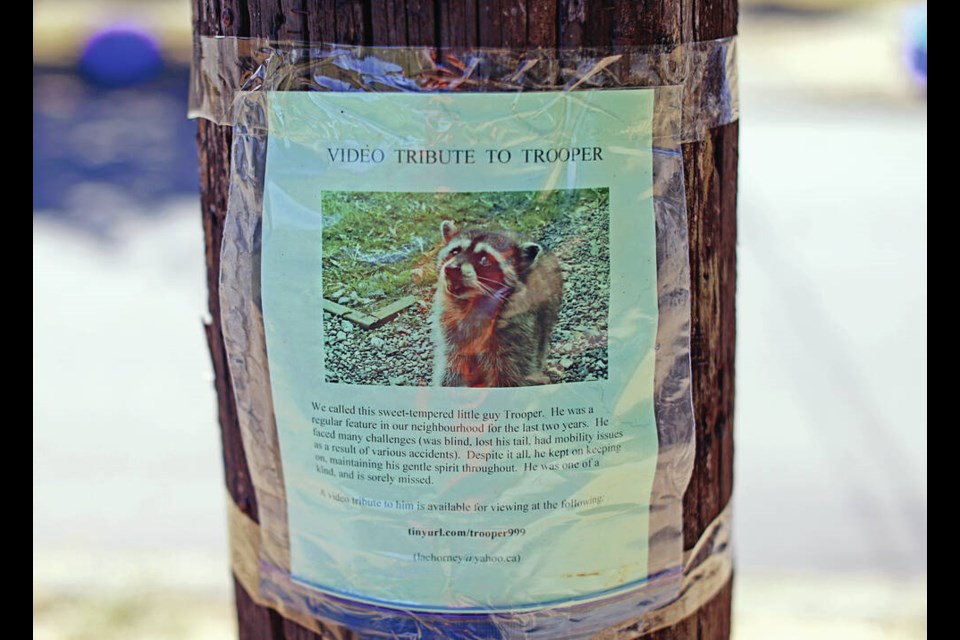 The sign says Trooper is “sorely missed.” ADRIAN LAM, TIMES COLONIST 