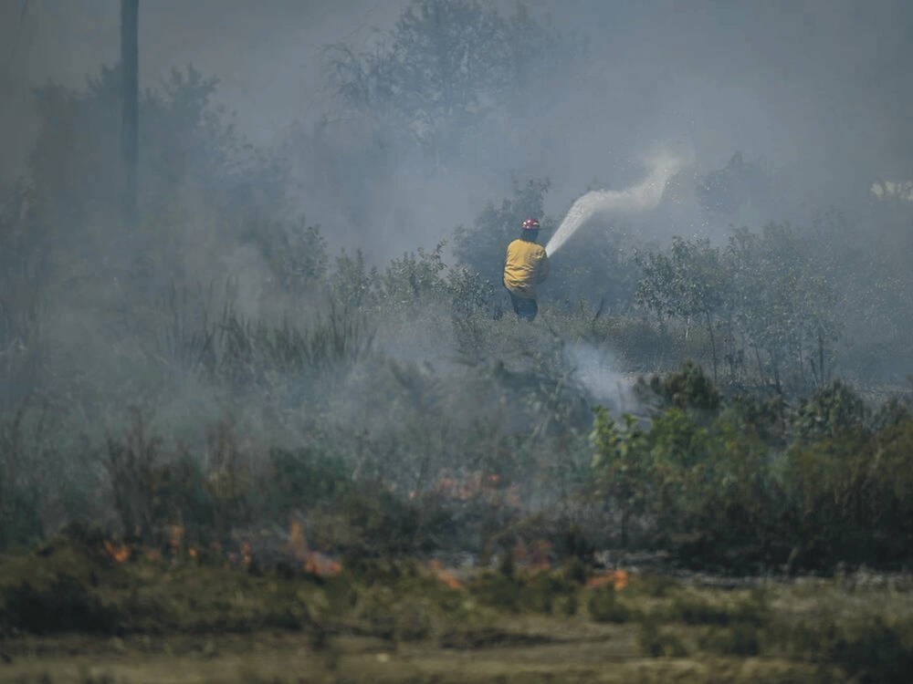 Editorial: Canada needs a national force to fight fires