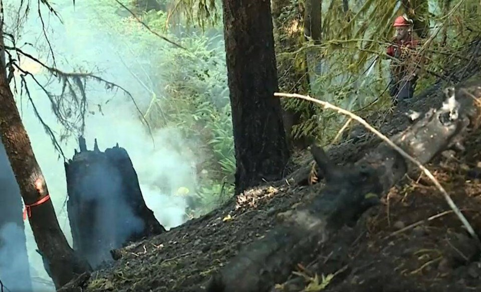 Port Alberni Wildfires Deemed Suspicious Victoria Times Colonist 