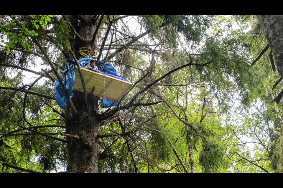 Kati George-Jim sits on her wooden platform about 100 feet up in the air on Friday. TIMES COLONIST 