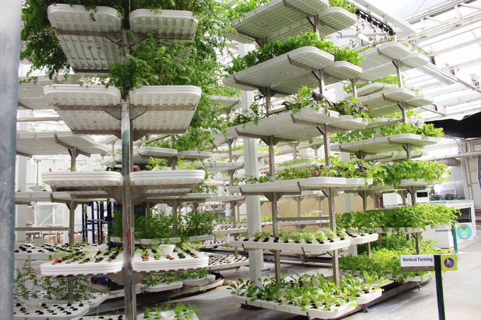 web1_vertical-farming