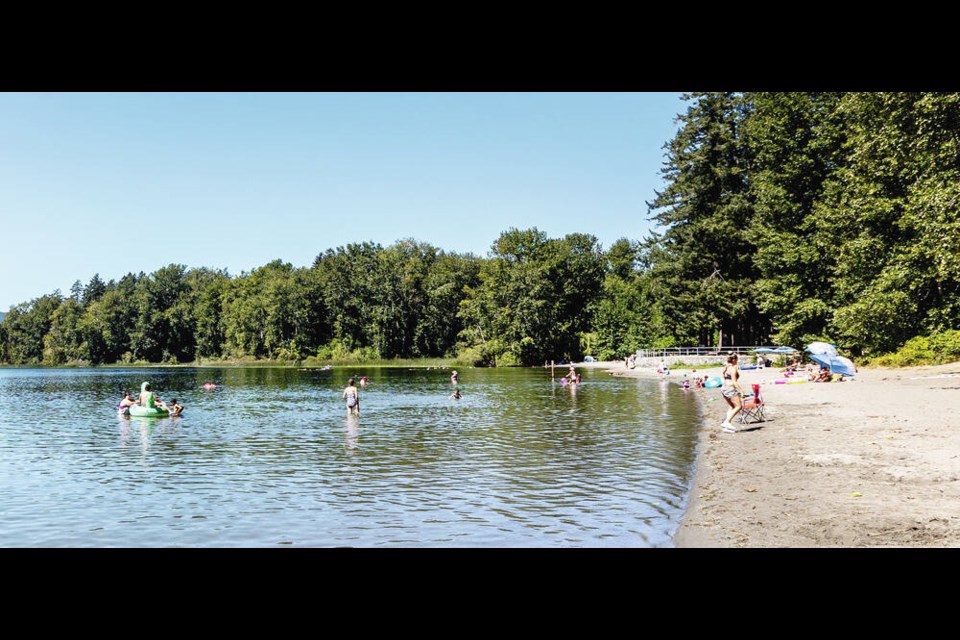 Hamsterly Beach at Elk/Beaver Lake Regional Park. The park is the most popular in the CRD, but the lakes have suffered from frequent blue-green algae blooms.  DARREN STONE, TIMES COLONIST 