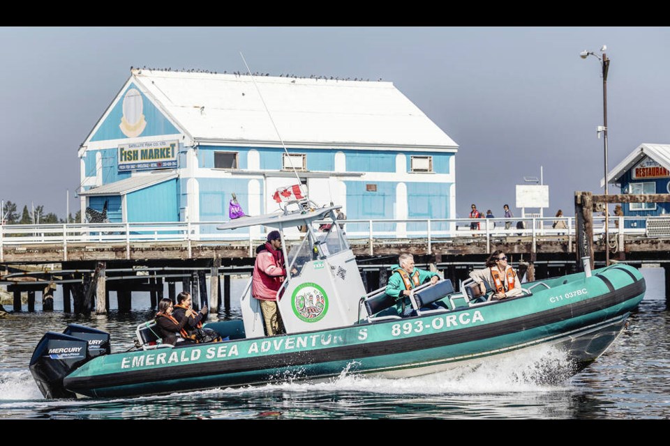 Captain Orion Giles took passengers out for a ride as the Tsawout First Nation celebrated the acquisition of Sidney Whale Watching. DARREN STONE, TIMES COLONIST 