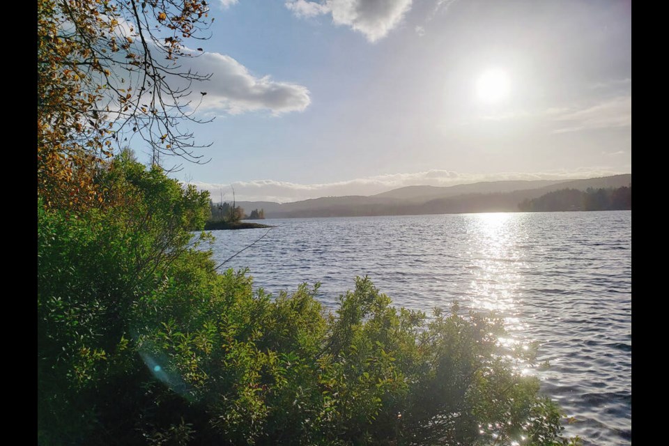 Some residents are concerned about a loss of vegetation surrounding Shawnigan Lake and impacts to water quality because of plans for a waterfront trail. Construction is set to begin in October. VIA DAVID MUNDAY 