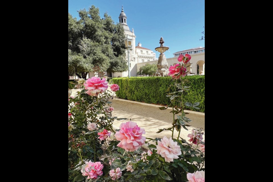 Roses were still in blossom at Pasadena’s City Hall’s inner courtyard in the fall. Coming New Year’s Day the annual Rose Parade takes place in the “City of Roses.”   PHOTOS BY KIM PEMBERTON