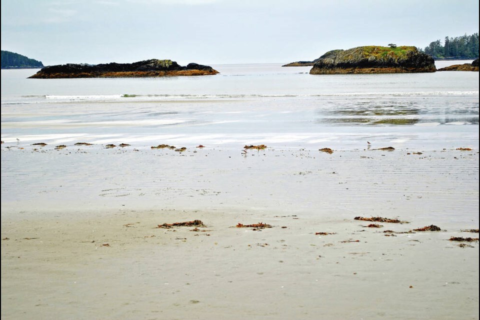 Mackenzie Beach near Tofino. AARON CARLSON VIA WIKIMEDIA COMMONS