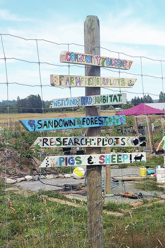 web1_sandown-sign