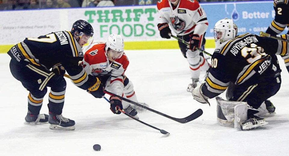 web1_vka-grizzlies-01516
