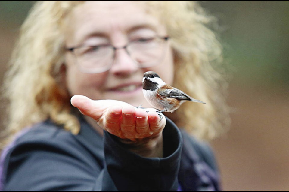 A chestnut-backed chickadee eats from Ann Nightingale’s hand in Beacon Hill Park. ADRIAN LAM, TIMES COLONIST 