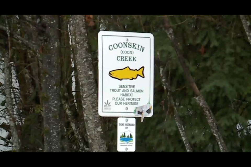 Coonskin Creek flows through Youbou into Cowichan Lake. CHEK NEWS