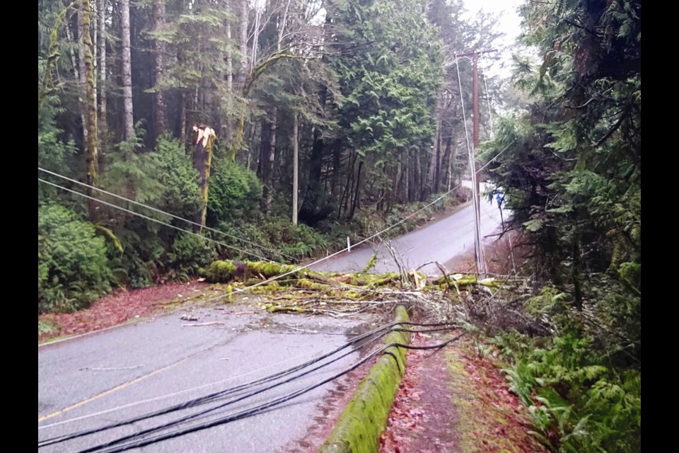 A downed tree on East Sooke Road near Anderson Cove Road left hundreds without power in East Sooke on Saturday. EMCON SERVICES INC. 