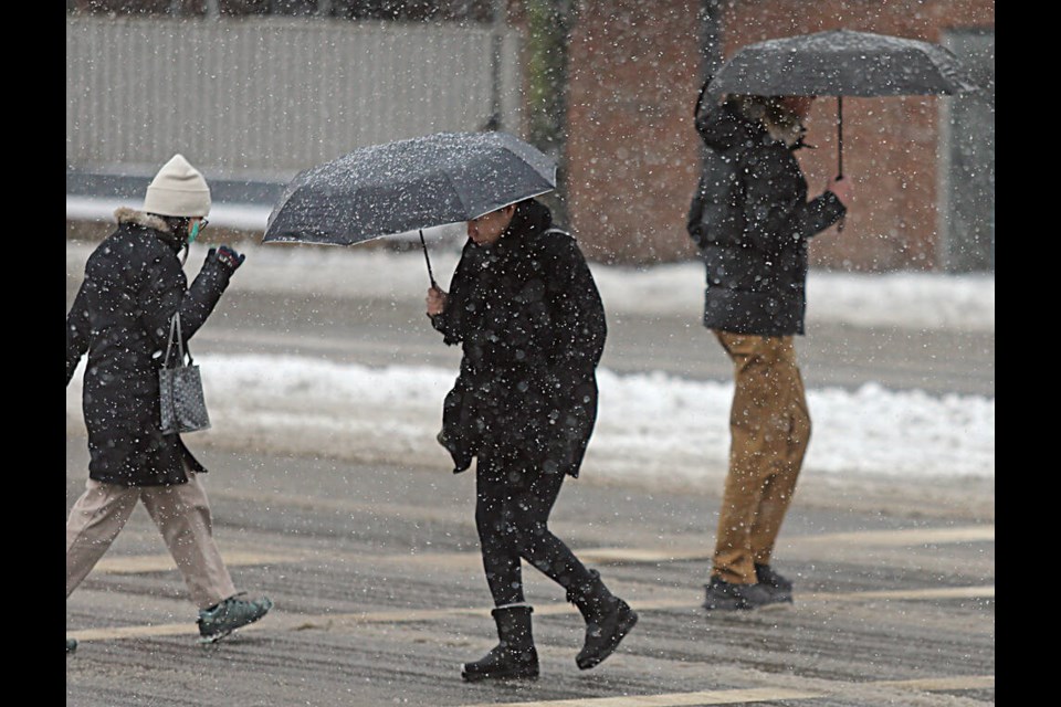 Pedestrians fend off the snow with umbrellas on Blanshard Street on Thursday. ADRIAN LAM, TIMES COLONIST 