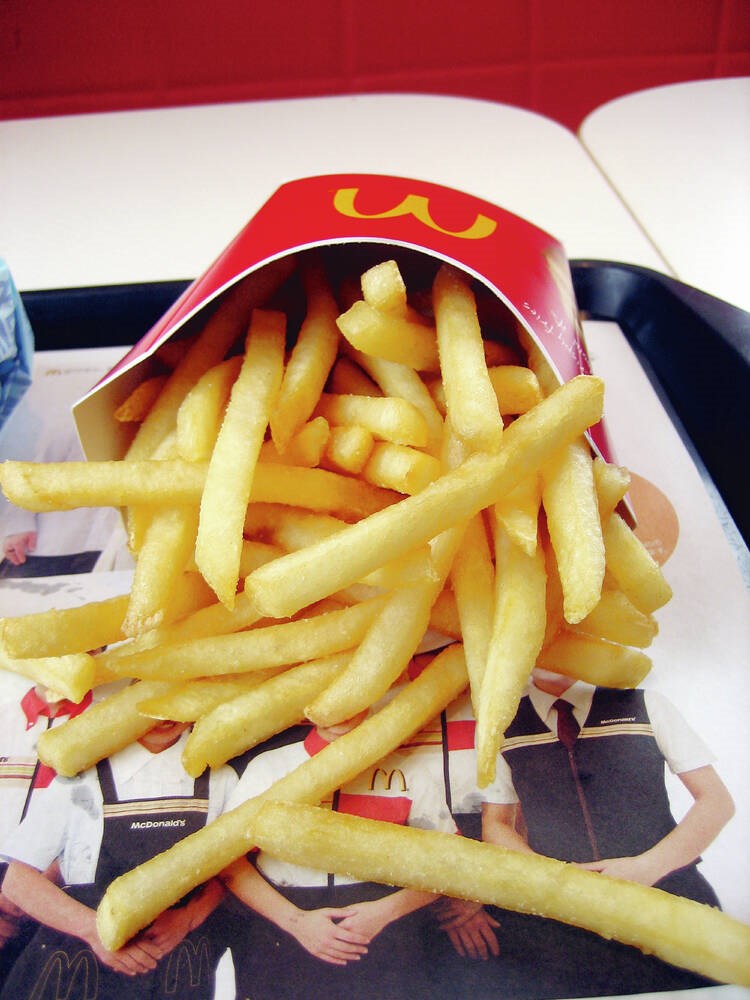 web1_french_fries_of_mcdonald-s_ltd_japan