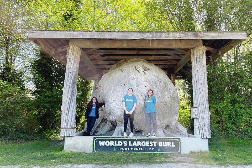 Port McNeill’s prized point of interest, the world’s largest tree burl. TOWN OF PORT MCNEILL 