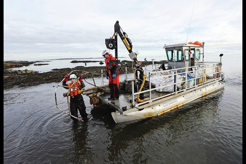 Cleanup team members Viki Kolatkova, left, and Justin Bland at the boat dock at Cattle Point. ADRIAN LAM, TIMES COLONIST 