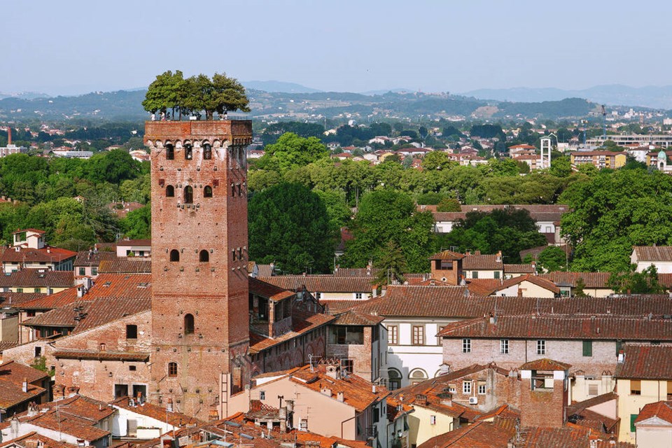Inside Torre Guinigi, one of Lucca’s surviving medieval towers, 227 steps lead up to a small garden of fragrant trees. DOMINIC ARIZONA BONUCCELLI 