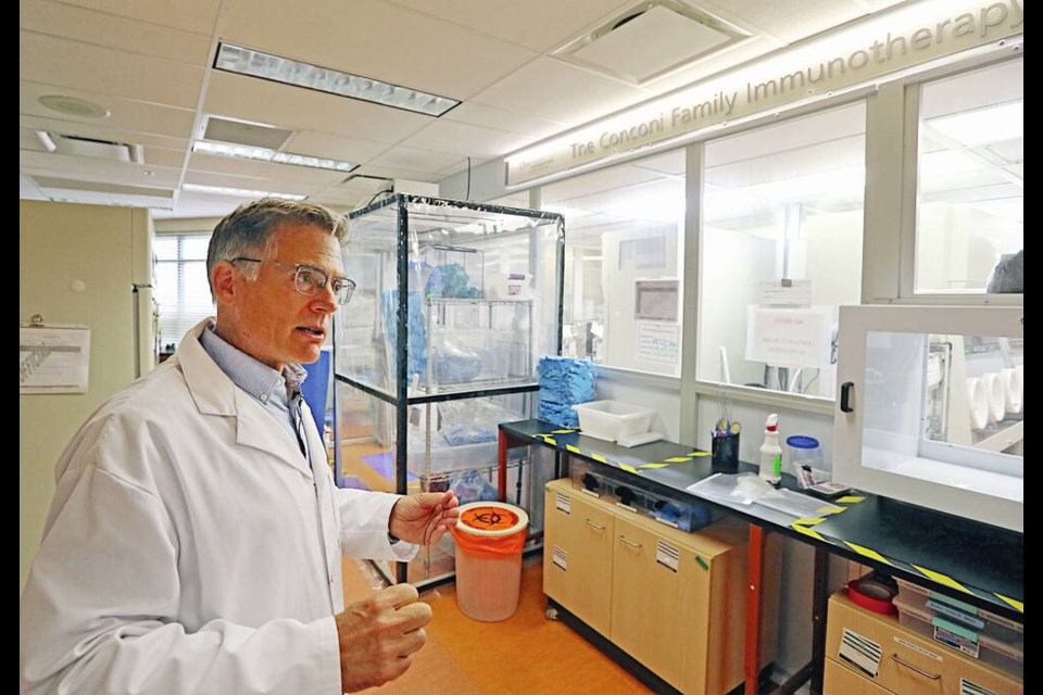 Dr. Brad Nelson at the B.C. Cancer Immunotherapy labs at Royal Jubilee Hospital last summer. ADRIAN LAM, TIMES COLONIST 