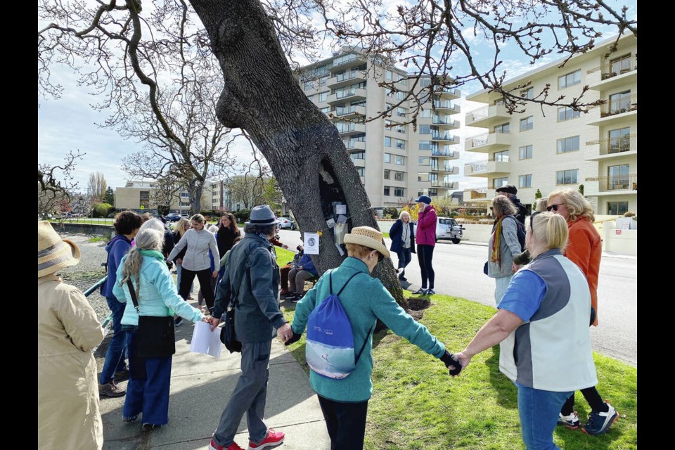 People gathered Monday to say goodbye to a beloved oak tree on Beach Drive that leans over the sidewalk. The trees is set to be cut down Wednesday because its roots are hollow and the tree is failing. TIMES COLONIST 