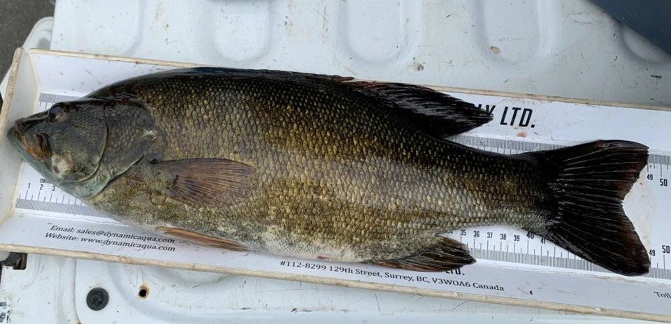 web1_echo-lake-smallmouth-bass-capture_june-2023