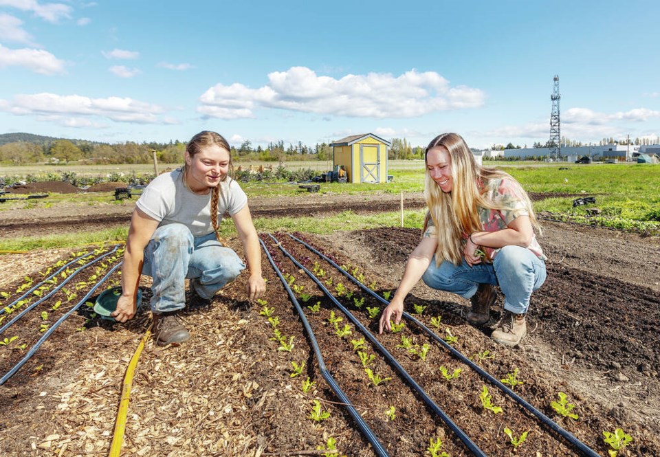 Sandown returns to its roots, yielding crop of young farmers