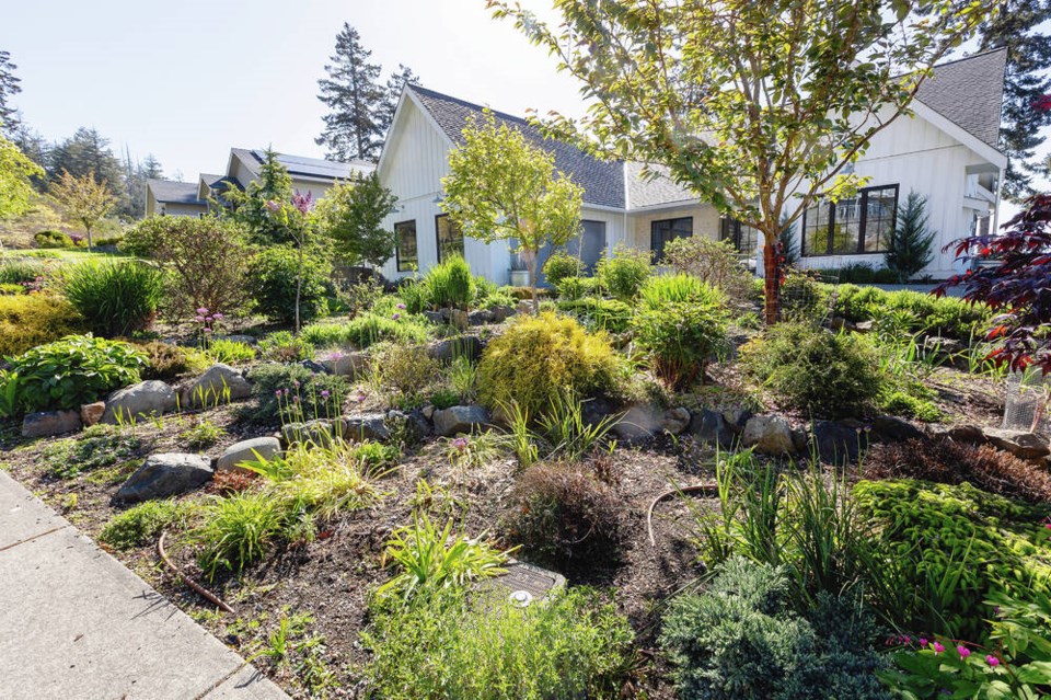 House Beautiful: Green thumb cultivates garden on a mountainside