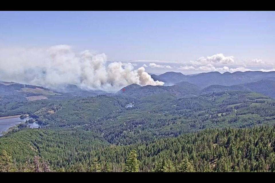 A wildfire was discovered east of the Sooke River in Sooke Potholes Regional Park on Monday. 
B.C. WILDFIRE SERVICE 