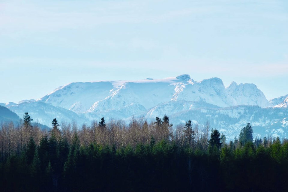 web1_comox-galcier