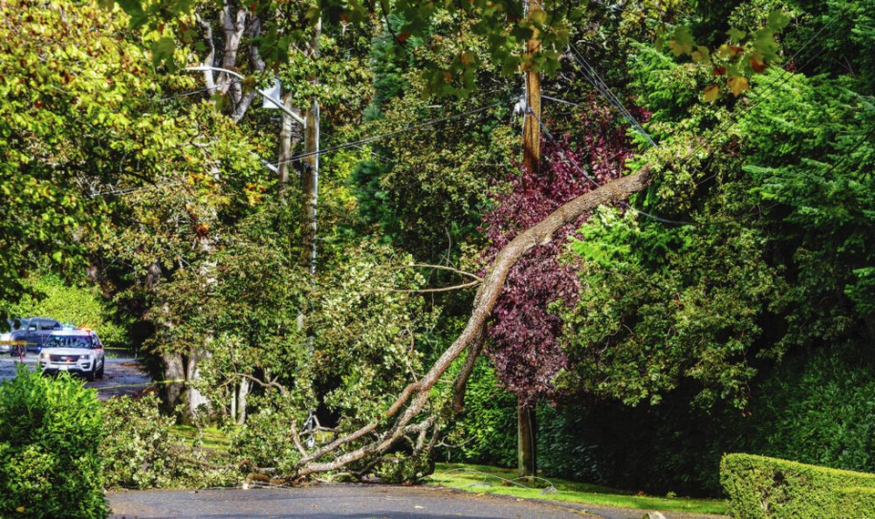 web1_vka-storm-8102
