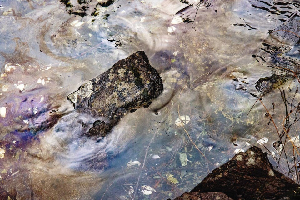 An oily sheen seen near the coastline of Zeballos. VIA NUCHATLAT NATION 