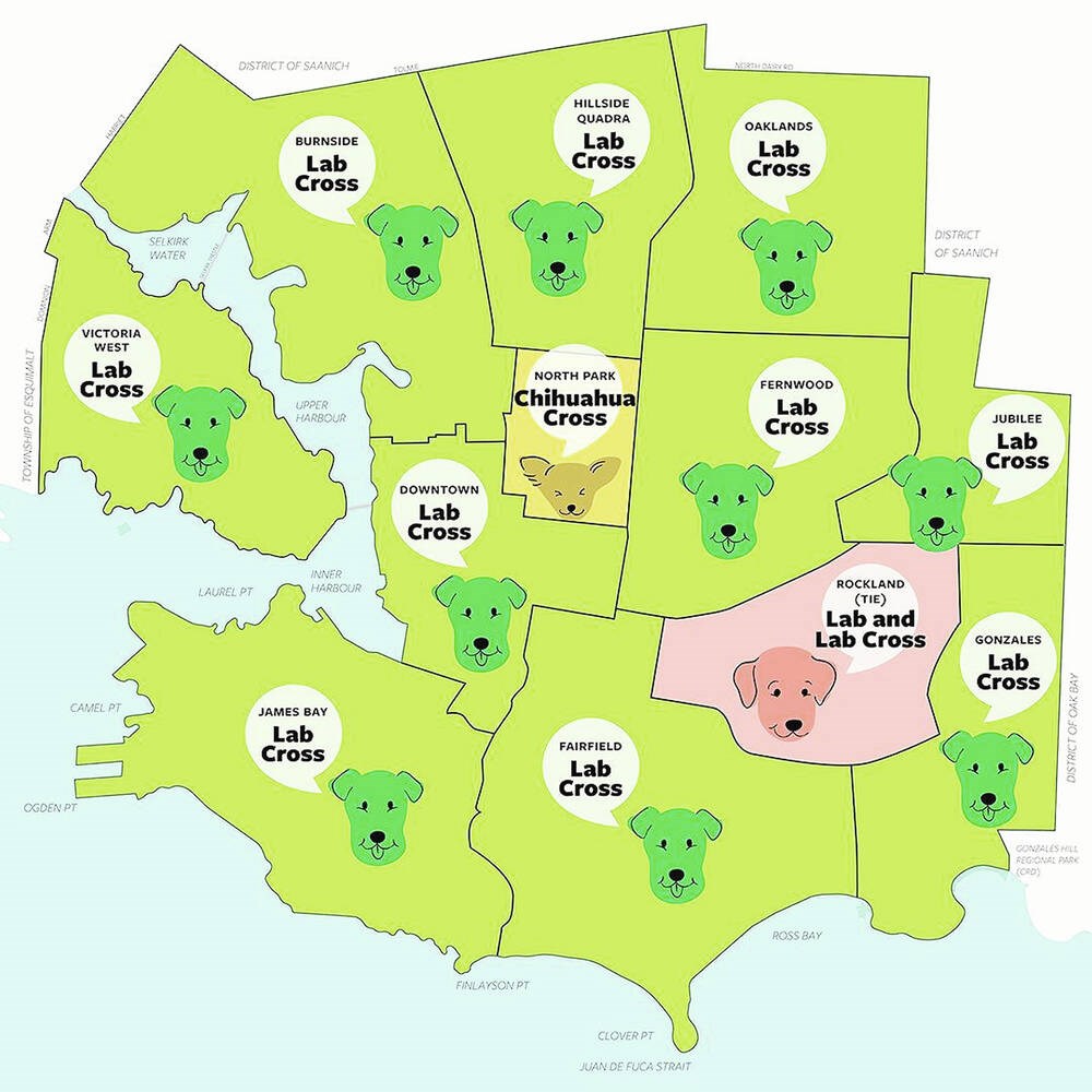 Labs most popular in Victoria, knocking out pugs