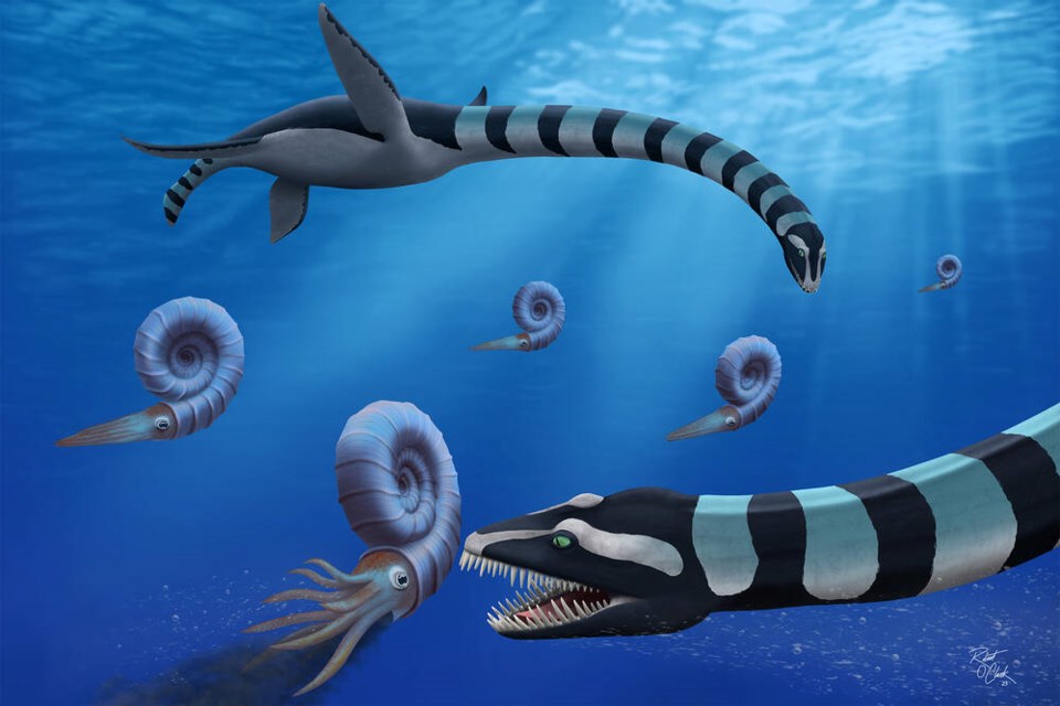 web1_traskasaura5-22-2025