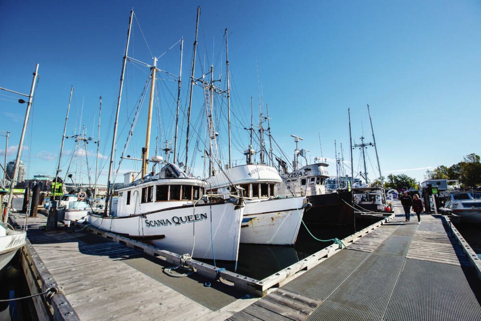 web1_vka-wharf-8157