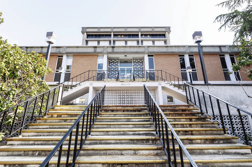 Unwanted touching began during job interview, court hears