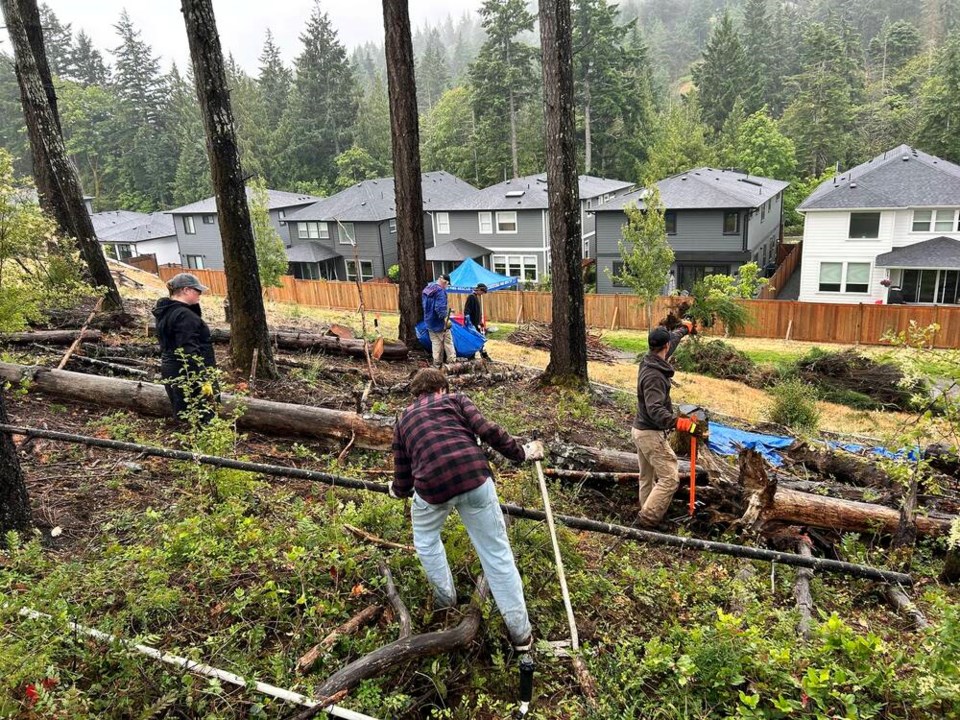 Volunteers remove Scotch broom and debris from park area near homes. VIA GREEN TEAMS OF CANADA