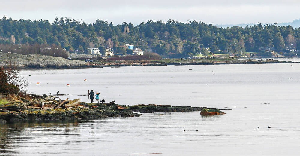 The Canadian Coast Guard recovered a body from the ocean off Oak Bay on Monday.