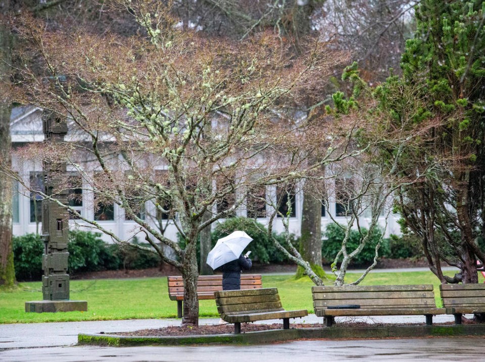 Rain falls at the University of Victoria in January. The school is one of four universities in the Pacific Institute for Climate Solutions, which studies climate change impacts and proposes mitigation and adaptation ­strategies. DARREN STONE, TIMES COLONIST