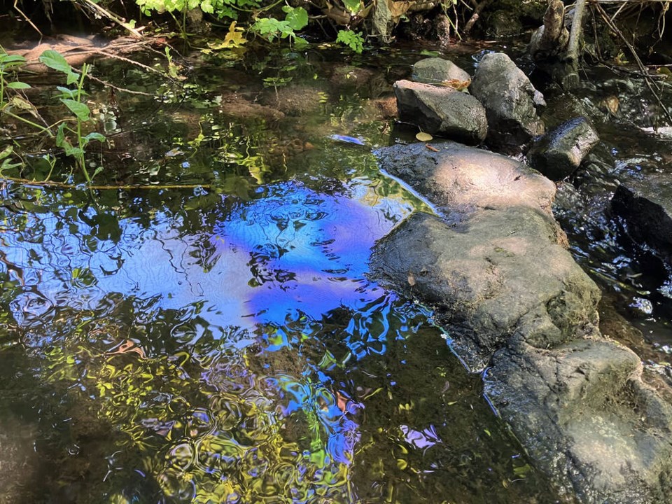 The fuel spill reached the lower reaches of Bowker Creek on Thursday morning, at Monteith Street, where chum salmon incubators are buried in the gravel and a spawn is expected to take place this fall. GERALD HARRIS