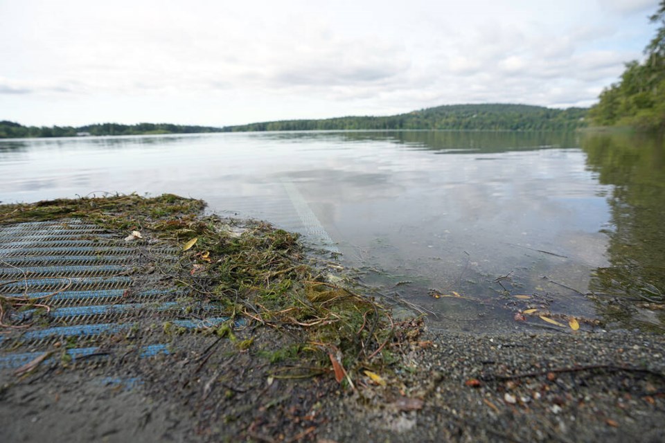 Signs at Hamsterly Beach warn people of toxic blue-green algae in Elk Lake in June. ADRIAN LAM, TIMES COLONIST