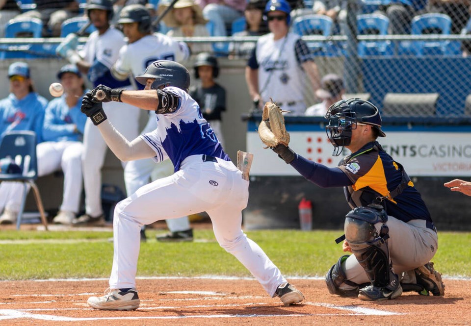 Victoria’s Jake Butler bunts against Nanaimo at Wilson’s Group Stadium at Royal Athletic Park last month. DARREN STONE, TIMES COLONIST