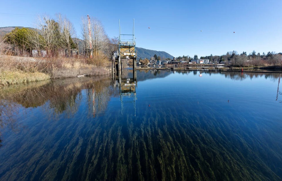 The Cowichan Lake Weir in January. Stop studying, start building, a letter-writer says. DARREN STONE, TIMES COLONIST