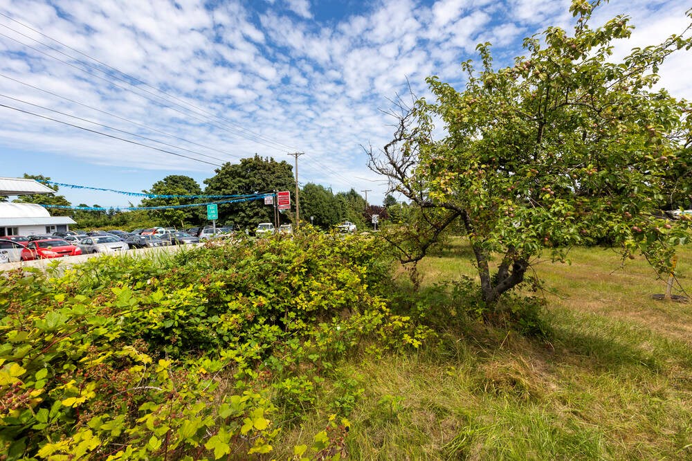 North Saanich has adopted a new official community plan that its director of planning says sets the district up to meet provincial housing targets.