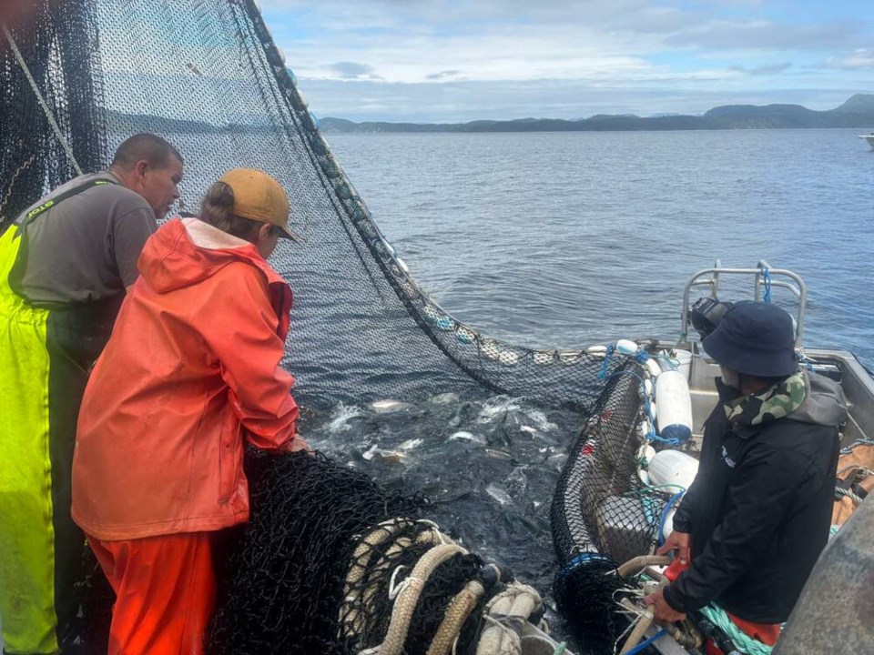 web1_08062025-vtc-news-sockeye-johnstone-strait_1