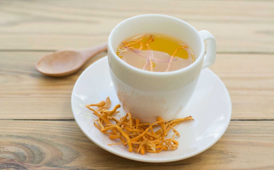 cordyceps-tea