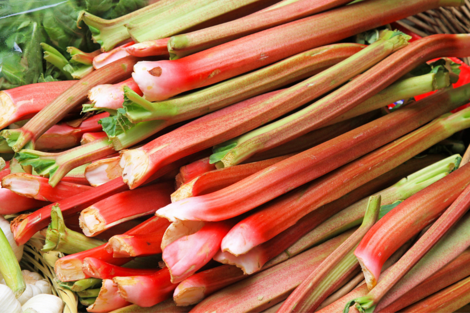 rhubarb