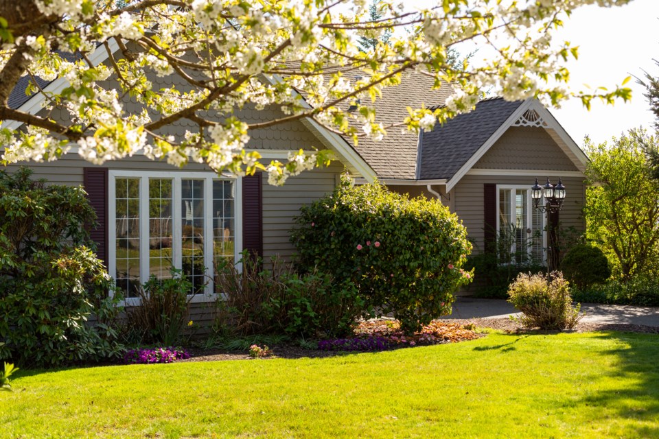 front-yard-spring