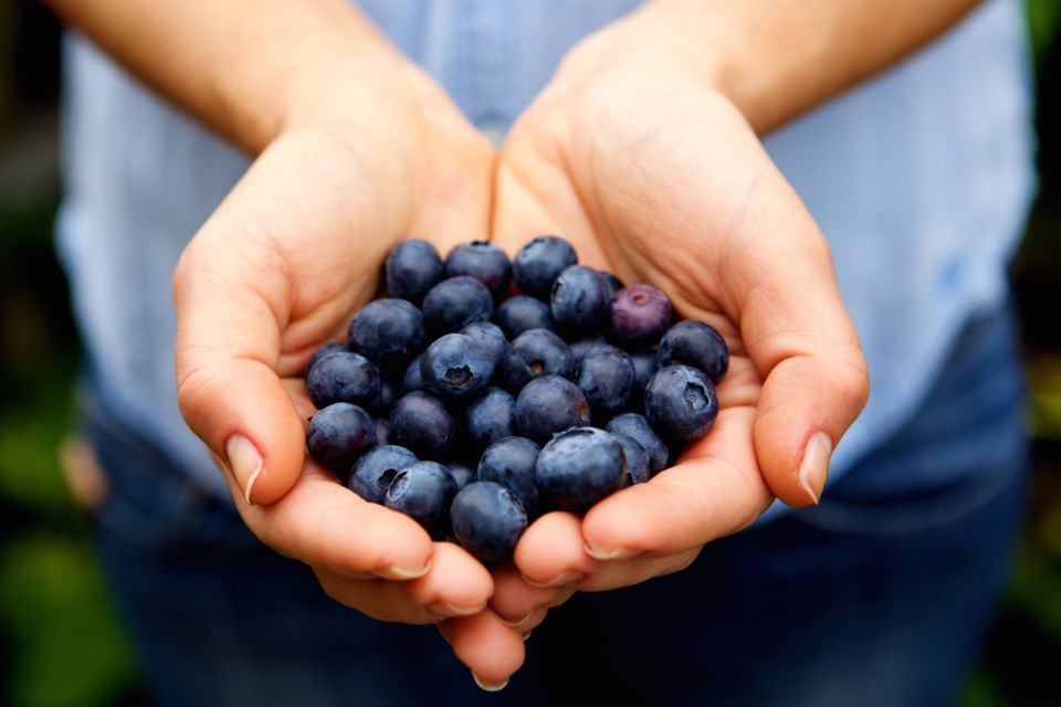 blueberries